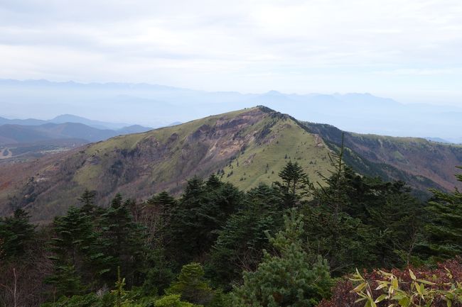 今回は久々にトリオ登山で百名山、花の百名山の共演の四阿山と根子岳半時計の周回をしました。<br />紅葉も菅平牧場へ周辺から下が見頃ともう終わりが近づいてました！<br />登山の方は天気は薄曇りから昼前には曇りへとなりました。<br />山頂手前は風もあり気温以上（10度前後）に冷たく感じました。<br />展望も浅間山、北アルプス、八ヶ岳、富士山も見れたので良かったと思います。<br />四阿山から根子岳へ向かう笹の葉の登山道は気持ちが良いですね！！<br />快晴の日ならさらに美しく感じられるのでないでしょうか。