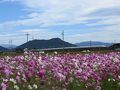 近江八幡・安土の旅行記