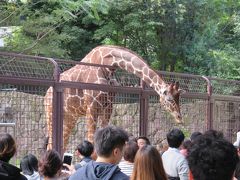 孫達と上野動物園へ