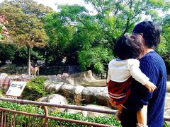 1歳2ヶ月の娘と行く☆★金沢動物園・朝からINで人混みと無縁!!ゾウさんにこんにちは(*^─^*)ﾆｺｯ