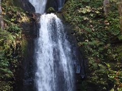 奥入瀬の渓流に沿って，銚子大滝から石ヶ戸休憩所までハイキングしました。