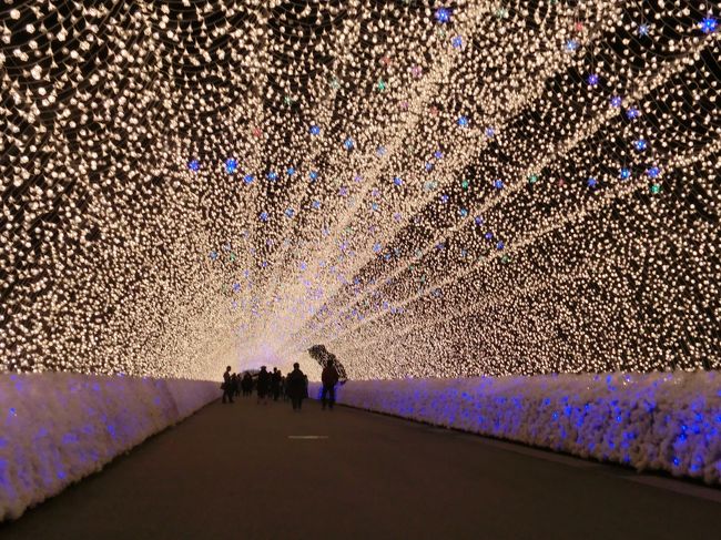 日曜日の夜ならきっと空いてるでしょ~~。<br />・・・結果大正解!<br /><br />ここは秋からGWくらいまでと開催期間が長いものの、<br />イルミネーションはやっぱ冬でしょ、<br />でも寒いの嫌だ、<br />とはいえ春先は花粉症だし、<br /><br />結論・・・寒くなる前の秋!この一択になりました。<br /><br />しかしながらこの近年・・<br />2014年は臨月<br />2015年は骨折<br />やっと実現した2016年、テーマも私好みでちょうどよかったです!<br /><br />2016-2017シーズンのテーマは「大地」<br />そして光のトンネルは「秋」<br />こりゃあ秋の訪問にピッタリですね☆<br /><br />実は8月のイラン(→http://4travel.jp/travelogue/11162875)同様に、出発日に39.5℃の発熱あり。<br />育児を夫に丸投げして静養するのではなく、旅行に出かけるのが気まずかったです。<br />でも前日から寝たきりでもう眠くないし、退屈だし、<br />どうせすぐ下がるだろ・・・・・・<br /><br />・・・・・その後、熱は上がる一方で後日『肺炎』で大病院へ搬送されました。<br />時間はかかりましたが無事に回復しております。<br />ああただでさえ少ない有休が(;ω;)←これ重要<br /><br /><br />【行程】<br />日曜日の16:10に東京を出発<br />名古屋まで自由席新幹線を金券ショップで9,850円で手に入れました。<br />(正確に言うと東京-名古屋の自由席回数券というものは存在しないので、<br />東京-豊橋と豊橋-名古屋の2枚を購入するという形です。)<br />18:00前に名古屋到着。<br /><br />近鉄の駅で電車+シャトルバス+入場券がセットになったお得なパスを購入。<br />http://www.nagashima-onsen.co.jp/page.jsp?id=17306<br />19:00入園<br />21:00すぎ退園。<br /><br />24:00名古屋駅から夜行バス→(1週間前に予約して3,700円)<br />月曜日の5:30に東京へ帰着。<br />いったん帰宅してシャワー浴びてから出社。