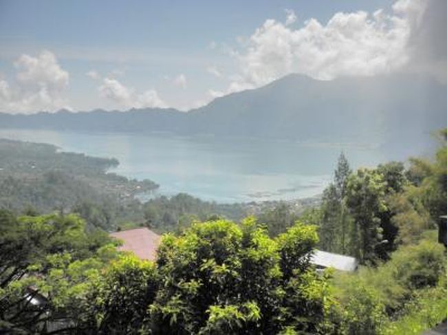 キンタマーニ高原 コーヒー農園 Inバリ島 その２ バリ島 インドネシア の旅行記 ブログ By はちみつさん フォートラベル