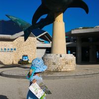 子連れ(３歳)でGO！～美ら海水族館からの石垣島