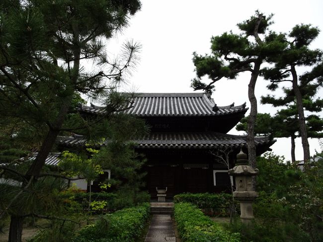 堺にある禅寺、南宗寺にお参りしてきました。<br /><br />大阪夏の陣で、真田幸村に追われ駕籠で逃げた家康を、後藤又兵衛が槍で討ち取って、南宗寺の開山堂の下に埋葬したという話が伝わっています。<br /><br />大河ドラマ「真田丸」の夏の陣に先んじてのお参りです。<br /><br />ところが、拝観料を払おうと受付に行くと、そこには境内・堂内撮影禁止と書かれています。<br /><br />境内を親切なボランティアのガイドさんに案内されたのですが、そのガイドさんも「ご住職のいわれることで・・・」とえらく恐縮されていました。<br /><br />写真は撮れませんでしたが、ガイドさんのお話をきっちり聞きながら廻る、臨済宗大徳寺派の禅寺南宗寺です。<br /><br />やっぱり良いですね。<br /><br />【写真は、南宗寺の仏殿（外から）です。】