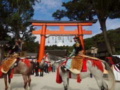 馬肥ゆる秋　上賀茂神社を馬駆ける！