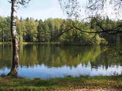 ２度目のフィンランドはヘルシンキで暮らすように旅しよう ♪     その５  ハメーンリンナへ１泊２日のショートトリップ！  国立公園の森を歩く