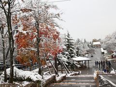 夢叶った北海道レッサーパンダ遠征（旭山動物園）（２）初雪の翌日に訪れた雪と紅葉の旭山動物園