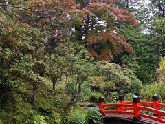 箱根の紅葉はまだまだ先（10月25日）