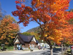 ◎今年の秋　奥日光