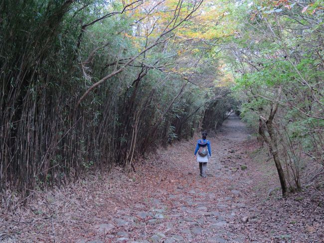 以前から歴史の面影を残す宿場町のような町並み、特に中山道の長野県の妻籠・馬籠のような往時の姿を残す古い町景色が好きでした。<br />中山道を江戸時代の旅人のように歩いてみたいなぁ、でも中山道はちょっと夜道が怖いし鬱蒼としてそう｡｡｡<br />だけど、人通りの多い東海道なら何とか歩けそう、何年かかってもいいから日本橋から京都の三条大橋まで歩いてみたい、と思うようになりました。<br /><br />その話を私（弥次郎兵衛）が居候の喜多さん（喜多八）にしたら、ツアーに参加しなくてもふたりで歩けるんじゃないかということになり、体力なし４０代の弥次と喜多の東海道中膝栗毛が始まることになったのでした。<br /><br />**************<br /><br />今回は前回に引き続き、箱根関所～三島間です。<br />東海道歩きのハイライトを早くも迎えました。<br />箱根駅伝は下りが勝負所と言われますが、それを身を持って感じるツラサがありました。