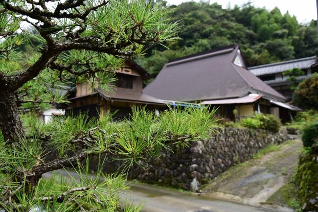 うんざりするような異常さで、今にも溶けてしまいそうだった夏の暑さも一息ついたので、「海の京都」を中心に、京都北部をじっくりと巡って来ました。<br /><br />旅の行程<br /> 9月30日 加悦、伊根<br />10月01日 宮津、黒谷、美山<br /><br />周囲を高い山に囲まれ、舞鶴湾に注ぐ伊佐津川に合流する黒谷川沿いの人里離れた谷あいに、平家の落人が追手を逃れて隠れ住んだという伝説の残る小さな集落があります。<br /><br />こんな歴史ロマンの香り高い京都府綾部市黒谷町は、京都府の無形文化財に指定されている「黒谷和紙」の里として知られています。<br /><br />仏教とともに日本に伝来した紙漉きの技術は、その後全国に広まり、奈良から京都へ都が移されると、京都に官制の紙漉き場が設けられました。<br /><br />古くから良質の楮(こうぞ)を産出し、黒谷川の清流とも相まって紙漉きに大変適していた黒谷では、平家の落人が生活の糧として細々と紙漉きを始めたといわれ、当初は、主に生活に密着した障子紙や提灯紙等を漉いていました。<br /><br />やがて「黒谷和紙」としてその名を馳せると、江戸時代には数々の奨励策も講じられ大きく発展すると、京都に近いこともあって、京呉服に関連した渋紙や襖紙などが漉かれるようになり、さらには土佐の紙漉き技術も導入して、楮(こうぞ)、三椏(みつまた)、雁皮(がんぴ)などの大判紙や厚紙なども漉けるようになりました。<br /><br />明治以降、洋紙が広く浸透したことや紙漉き職人の不足などから、各産地では手漉きから機械漉きへと転換するなか、黒谷は自然を活かした伝統的な手漉きの技法を守り続け、今では全国でも数少ない手漉き和紙産地のひとつとして、貴重な存在となっています。