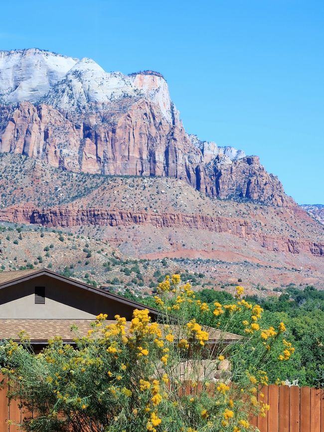 ザイオン国立公園（Zion National Park）は、アメリカ南西部にある国立公園である。<br />ユタ州に位置し、南はスプリングデール、東はマウント・カーメル・ジャンクションに接している。229平方マイル（593平方キロメートル）のこの公園の際立った特徴は、長さ15マイル（24km）、深さ0.5マイル（800m）のザイオン渓谷で、ノース・フォーク・ヴァージン川によって赤く日に焼けたナバホ・サンドストーン（砂岩）が侵食されたものである。<br /> ザイオン・キャニオン道路は4月前半から10月後半までの間シャトルバスでしか通行できないが、ザイオンの主要部、ザイオン・マウントカーメル・ハイウェイは1年中自家用車で通行可能である。<br />ザイオン・マウントカーメル・ハイウェイは南口から東口に延びている。公園東側の有名な目玉には、チェッカーボード・メサとイースト・テンプルがある。コロブ側には世界最長のアーチ、コロブ・アーチがある。 ザイオンとコロブ渓谷地域には、ほぼ中生代にあたる1億5000万年間の堆積を示す9つの地層が含まれる。その地域は、当時、暖かく浅い海、小川、池、湖、広大な砂漠、岸に近い乾燥した環境に覆われていたが、コロラド高原を生み出した隆起により1300万年前から10,000フィート（3000メートル）持ち上げられた。<br /><br />人類がこの地域に住み始めたのは、約8000年前、アメリカ原住民族の少数の家族が最初である。渓谷は1858年にモルモン教徒によって発見され、1860年代初めにはモルモン教徒が定住した。1909年にムクンツィープ・ナショナル・モニュメントが渓谷を守るために建設された。1919年までに拡大されザイオン国立公園となった。（ザイオンは古代ヘブライ語で避難所又は聖域を意味する「シオン」の英語読みである。）<br /><br />コロラド高原、グレートベイスン、モハーヴェ砂漠が接する地域に位置するという、ユニークな地理的特徴とライフ・ゾーンの豊かさが並外れた動植物の多様性をもたらしている。 289種の鳥類、75種の哺乳類（19種のコウモリを含む）、32種の爬虫類、多種類の植物が公園の4つのライフ・ゾーン、すなわち 砂漠、水辺、ウッドランド(乾生疎開林)、針葉樹林(乾生常緑高木林)に生息している。 著名な大型動物は、再導入されたカリフォルニアコンドルとビッグホーンのほかに、ピューマ、ミュールジカ、イヌワシを含む。良く見られる植物にはハコヤナギ、サボテン、セイヨウネズ、マツ、トネリコバノカエデ、ヤマヨモギ、種々のヤナギがある。<br />があります。 <br />Zion National Park（英語版）<br />（フリー百科事典『ウィキペディア（Wikipedia）』より引用）<br />