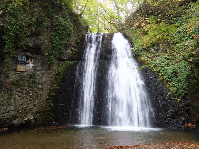 あきた白神温泉で一泊したあと，秋田市にむかいます。この日の最初の観光は，白瀑神社（しらたきじんじゃ）。宿の人に教えてもらいました。ここは神社と滝が一体になっています。