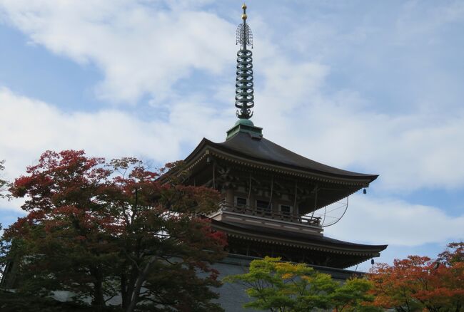 2016秋、善光寺と信濃(10/13)：10月25日(2)：善光寺(2)：本堂、境内の紅葉、三重塔