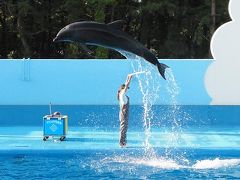 日本海側を北へ北へ旅1日目～マリンピア日本海編～