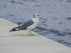 10月末の城南島海浜公園