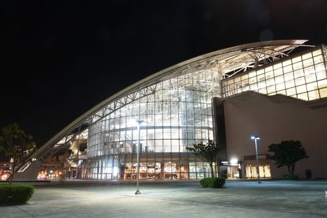 第四日目の夜は、新竹市内とちょっと離れた高鐵新竹站の夜景を<br />見に行きました。<br /><br />軽く夕食をすませホテルのフロントでお願いしたタクシーで19時頃に<br />出かけました。<br />ホテルのフロントでお願いしたタクシーはホテル専属の貸切専用車で<br />黒いベンツでした。 料金は、１時間 NT$350.です。<br /><br />ホテル～天公壇公園、都城隍廟、高鐵新竹站～ホテルまでで約2時間<br />タクシー料金は NT$700.でした。<br /><br /><br />写真： 高鐵新竹站