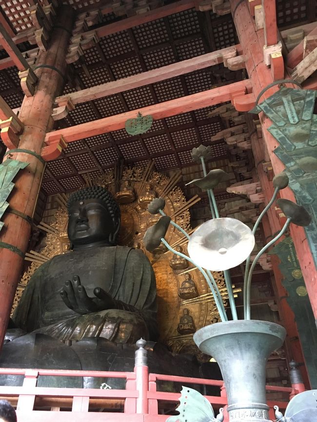 奈良の東大寺へ。修学旅行生が沢山いました。奈良公園や正倉院へも行きました。歴史ある建物は素晴らしい。