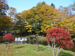 紅葉の北海道　ふきだし公園　京極町