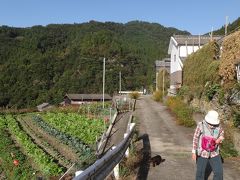 徳島県つるぎ町　端山巡礼のお堂と蕎麦の収穫風景