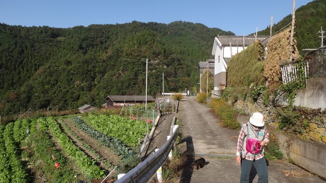 いつものように端山八十八ヶ所巡礼のソラのお堂めぐり。<br />その途上でいろいろな人や物に出会います。<br />今回の出会いは蕎麦です。<br />行く先々で、蕎麦の収穫風景が見れました。<br />そんなお堂と蕎麦の収穫過程を報告します。<br /><br />