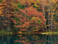 長野　紅葉めぐり～御射鹿池、横谷観音、松原湖、立岩湖