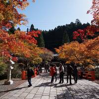 大阪・ミナミ～高野山　1泊2日旅行