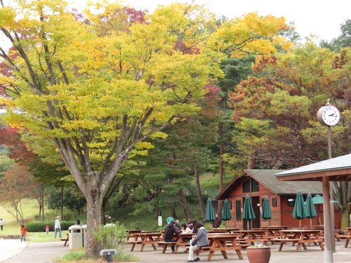 紅葉☆ ﾖ-ｲﾁ on X