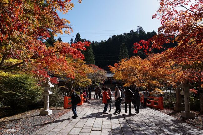 大阪の難波経由で高野山に行ってきました。<br />寒かったけど、紅葉が始まりかけていてとてもキレイでした。