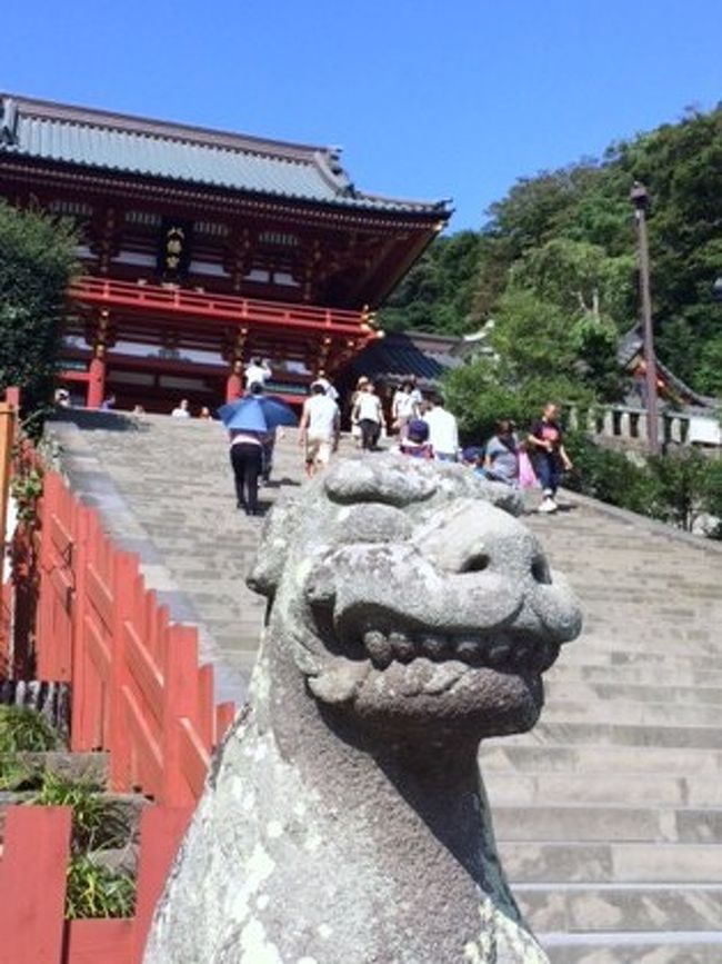 夏の暑い土曜の昼、急に思い立って鎌倉にいくことにしました。品川からすぐだし、まだまだ気分は夏休み?<br />下の娘を誘ってぶらーり・・・ふらっと鎌倉にレッツゴーです笑。<br /><br />神社でお参りをし、その近くで雰囲気のいい景色を眺めながらお抹茶のんで、まったりしたくて・・・涼みたくて。。。その一心で鎌倉へ向かいました。<br /><br />しかし涼む場所をさがしていたのにどこも暑く。。。ヘロヘロの鎌倉になりました。