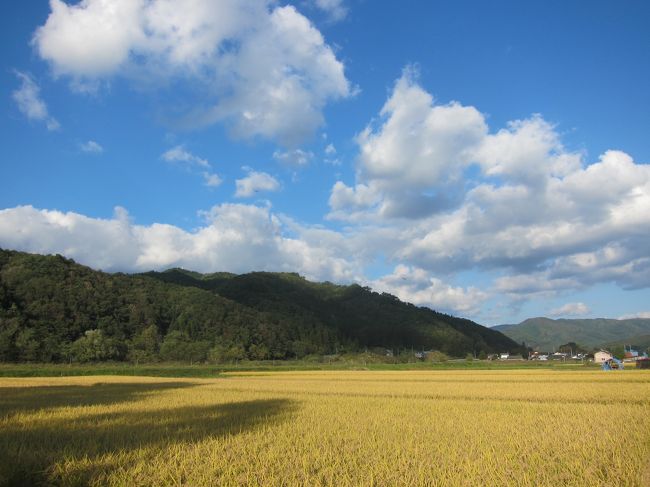 かねてより行きたかった遠野へ!<br />遠野物語で、山人やカッパや座敷童・・・などなど、とても興味をひかれ、一度は訪れてみたいと思っていて、念願叶ってついに!<br />来る前はいつものように天気予報を毎日のようにチェックし、SNSで遠野気温をチェックし・・・、ヒートテック&ライトダウンで気合入れて行ったら・・・、とっても暖かかったです(笑)しまむらで薄い長袖購入。<br />本当は夏の青々とした緑を見たかったけど、残念ながら黄金色の稲と稲刈り後・・・。こちらもステキだったけどね。<br />また来ます!!<br />2泊3日ギュッとまとめました!<br />レンタカーでグイグイ回りました。