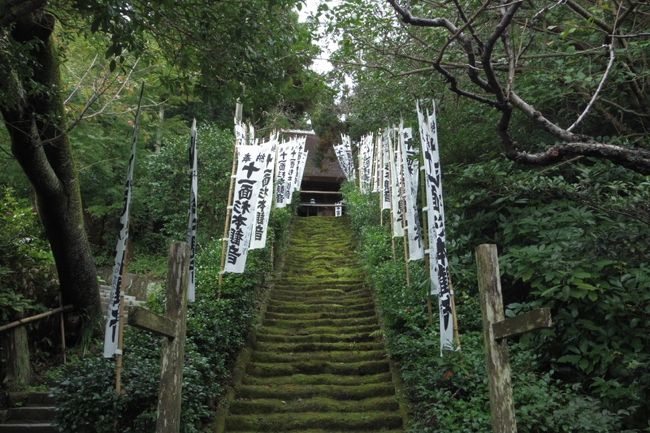 久しぶりに鎌倉へ行きました！<br />訪れた寺社は、杉本寺→覚園寺→高徳院（大仏）→鶴岡八幡宮<br />途中、お店に寄り道したり、教会コンサートに訪れたり（これが本目的）。<br />コンパクトな街なので、ぶらり散歩がとても楽しいです。