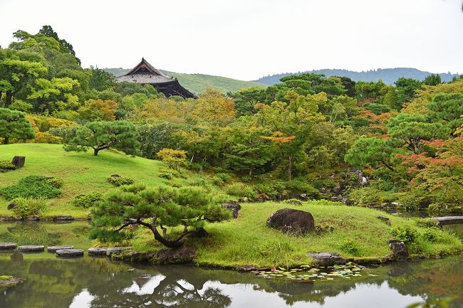 秋分の日に、高校の同窓会が神戸で催され出席してきた。いつものことであるが、千葉の自宅から関西まで遠征するとなると、ひとつの用件だけで帰ってくるのは芸がなく、今回も京都・奈良の観光をプラスすることになった。最近は、古都の庭園巡りに興味が湧いているため行動もそれらが中心となっており、２泊３日の主な行程は以下の通りであった。<br /><br />９月２２日：千葉～神戸、同窓会に出席、神戸泊<br />９月２３日：神戸～京都、南禅寺・南禅院・金地院・青蓮院門跡・建仁寺を見物、京都泊<br />９月２４日：京都～奈良、旧大乗院庭園・依水園見物、友人とランチ会、奈良～千葉<br /><br />第４回目は、舞台が奈良に移る。京都観光の翌日、奈良在住の友人と奈良でランチ会を持つ約束をしており、地下鉄の四条烏丸駅から乗ったところ、驚くべきことに奈良まで直通の電車だった。京都駅で近鉄に乗り換えるつもりだったが、乗り換えなしで奈良まで直行だ。３年ほど前に、神戸の三宮から奈良まで直通の阪神電車に乗った時も驚いたが、関西は便利になっている。<br /><br />奈良では、近鉄奈良駅～興福寺～旧大乗院庭園～依水園見物の様子となる。写真は、東大寺南大門・若草山・三笠山・春日山を借景とする依水園の庭園。