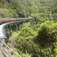 ディスカバー　オーストラリア　　８日間の旅　　１～３日目　ケアンズにて