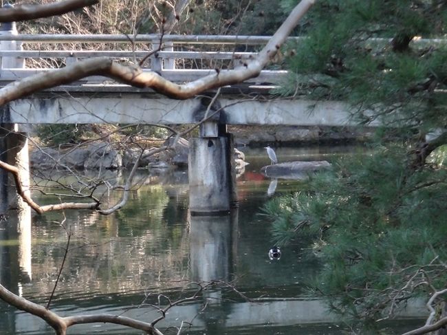 出張に絡めての京都旅行のため、日付を選べずこのタイミング。<br />紅葉シーズンと違って空いていて紅葉の名残は楽しめました。<br />でも、年によってはこのタイミングでもまだ紅葉があったりするんですよね<br />（2015年がそうでした。2016年もおそらくそうなりそう）