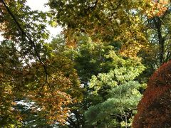 菊華荘の紅葉はまだまだ先（10月31日）