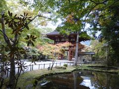 ありがたきかな・・・女人高野　【室生寺】