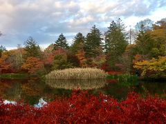 紅葉ドライブ 長野編