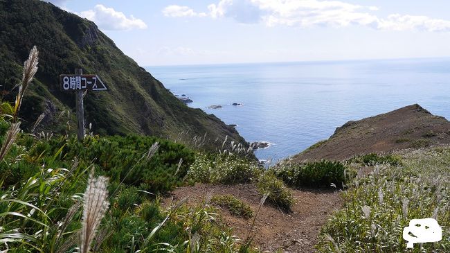 7日目。今日は礼文島のトレッキングをする。最北限のスコトン岬をスタートし礼文林道を抜け香深港に戻る旧8時間コースと礼文林道コースを組み合わせたもの。4年前に同コースをたどり、変化に富んだコースに感動した。今度はじっくり写真に記録しながら、コースを暗記するくらい満喫しようと思った。<br />2回目なのでとにかく晴れて、いい風景を記録させてほしいと願いつつ当日を迎えた・・・。<br /><br />7日目<br />ホテル～スコトン岬8:12<br />スコトン8:17…ゴロタ岬9:06…鉄府9:57…スカイ岬10:27…召国分岐11:12…<br />アナマ12:53…ウエンナイ13:19…礼文林道香深井14:09…　（8時間コース終了）<br />レブンウスユキソウ群生地15:12…礼文林道香深15:44…香深港16:08　（トレッキング終了）<br />礼文島香深港17:05…稚内フェリーターミナル19:00/<br />稚内駅前19:43～稚内温泉童夢20:00頃　風の宿宗谷パレス宿泊<br /><br />