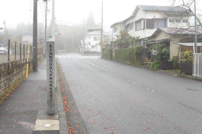 紅葉のシーズンが近づいて来たなぁ。<br />そういえば結婚記念日と義母の誕生日ももうすぐだ。<br />久しぶりに箱根に泊まりたいという妻のリクエストにも応えて、<br />箱根湯元へ。<br /><br />あ。なら三保の松原にも行きたいぞ！