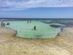 年末年始3泊5日年越パース旅行 ～ロットネスト島・フリーマントル編～