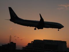 伊丹空港千里川土手での飛行機撮影　絶景の飛行機撮影ポイント堪能する