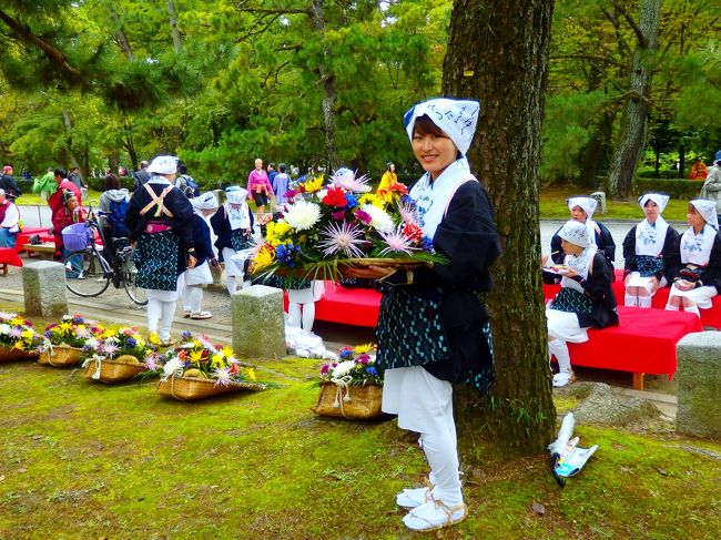 10月22日は京都では時代祭の日。<br />今年は久々に休日と重なったので、京都御苑で時代行列の出発を待つ白川女の皆さんやお馬さんたちの様子を我が家の老ワンコ小梅を連れて拝見してきました。