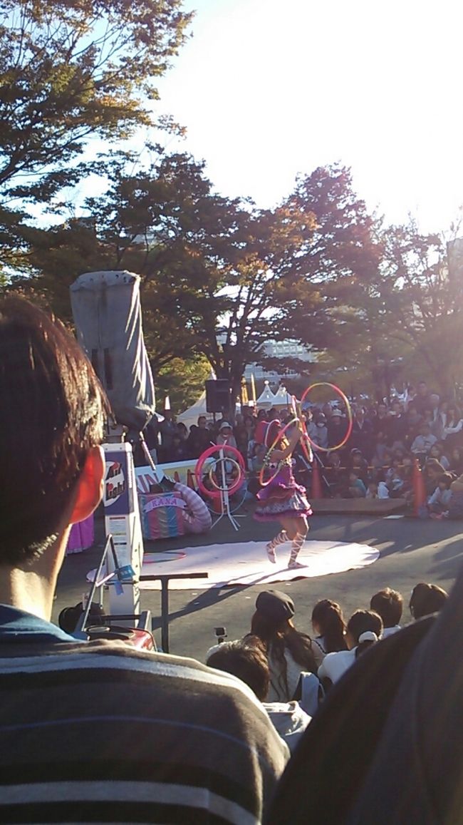 　ご覧戴きましてありがとうございます。<br />　2016年11月３日の文化の日～2016年11月６日の日曜日の間、静岡市内では「大道芸ワールドカップin静岡」というイベントが開催されています。<br />　このイベント、一言でいうと、駿府城公園を中心に静岡市内の所々で大道芸人が様々なパフォーマンスを観客に向けて披露するという内容で、2016年で開催25周年を迎えたそうです。<br />　2016年11月３日の日、自宅のある静岡県浜松市からこのイベントを観覧するのと、当日は天気が良かった為、清水港の景色を楽しむべく日帰りで静岡市内までお出かけしました。<br />　今回はその清水港の海の様子と大道芸ワールドカップin静岡を観覧した時の様子をご覧戴きます。<br /><br />