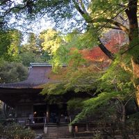 少し秋の深まった宇陀の室生寺