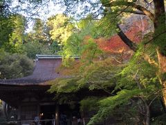 少し秋の深まった宇陀の室生寺