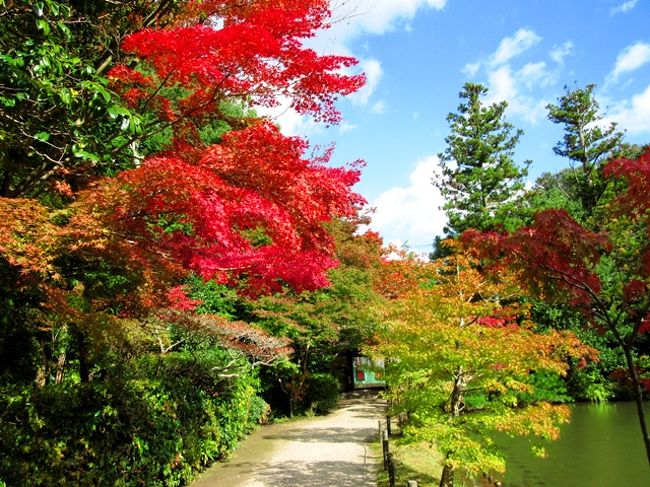 奈良・西大寺と紅葉が見ごろを迎えた円成寺へ。<br />観光シーズンの休日でしたが、紅葉をゆっくり楽しめました。