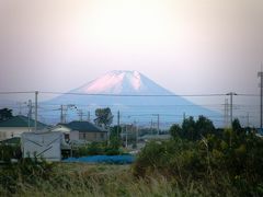 早朝散歩・・・朝散歩コースでみられた富士山の雪をかぶった様変わりの顔に・・・