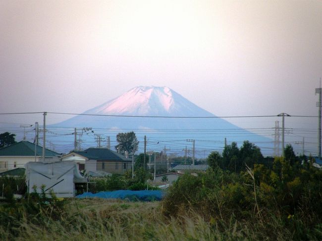写真は、日の出とともに浮かび上がる真っ白に衣替えした富士山。<br /><br />今朝は快晴に近く、冷え込んではいるが早朝ウォーキング日和です。<br />歩きだして富士山ビューポイントに着いて、びっくりです。昨日、夕方のウォーキング時で見た富士山は一度降った雪が解けて、ほぼ夏の富士山でしたが、今朝、何時もの富士山撮影スポットに行きびっくりです。<br /><br />なんと、真っ白に雪をかぶって衣替えした富士山ではないですか～。<br />家内と顔を見合わせてびっくりを連発・・・<br /><br />久しぶりに興奮して、シャッターを切りましたが、私のカメラでは私の思いは伝わりませんが早朝の富士山を追いました。<br />